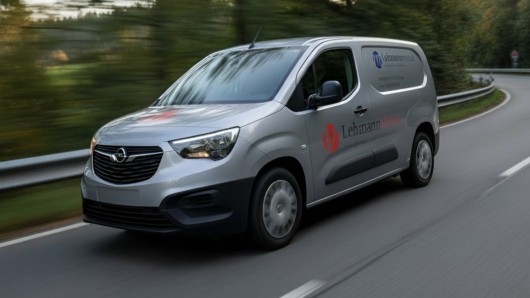 Lehmann vision Service