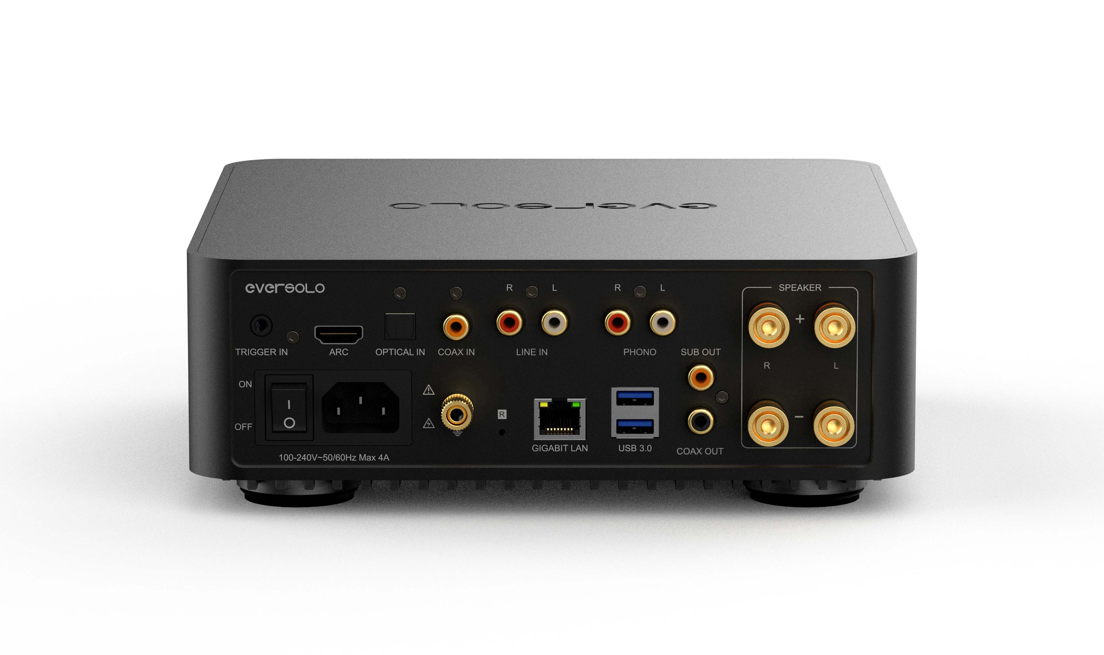 Eversolo Play Back Anschlüsse